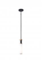  LIT6830BK+GD-OP - 13" High 1 Light Single Pendant Light With 1x25 W E26 Medium Base frame in Black finish